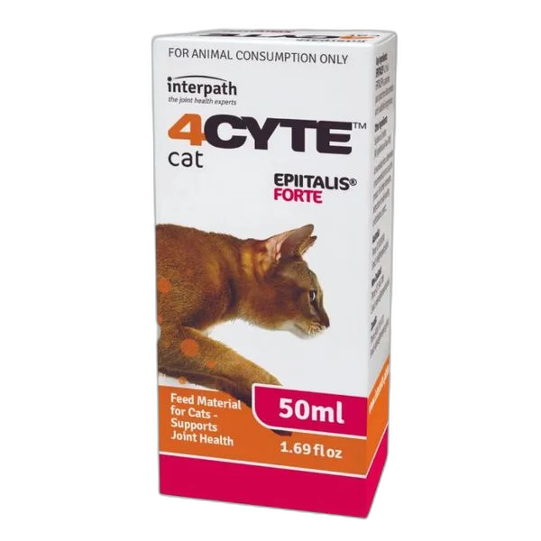 4cyte 橙色 速赛液体关节灵